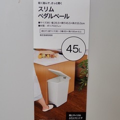 スリムペダル45Lゴミ箱2個の画像