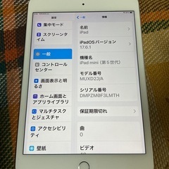 iPad mini5 セルラー256GB