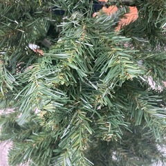 クリスマスツリーおまけ付きの画像