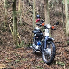 スーパーカブ
の画像