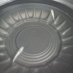 10/26めだか販売の画像