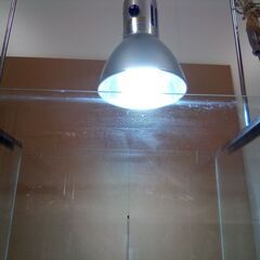 AQUA SYSTEM ガラス製 水槽 幅45cm×奥行30cm×高さ30cm ＆ 神畑養魚 ヴォルテス 30W ライト ライトスタンド付きの画像