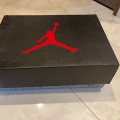 NIKE AIR JORDAN 5 サイズ:27 の画像