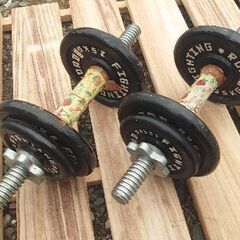 『お父さんの体力作り、❗今です❗』ダンベル 20kg 片手10k...