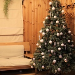 180センチのクリスマスツリーの画像