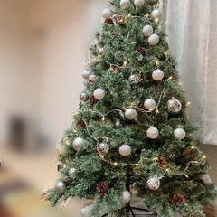 180センチのクリスマスツリーの画像