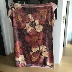 中古毛布2枚組