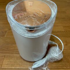 ビューティースチーマー