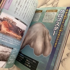 🩵UMA 未確認生物 大図鑑🩵の画像