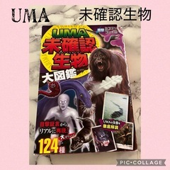🩵UMA 未確認生物 大図鑑🩵
