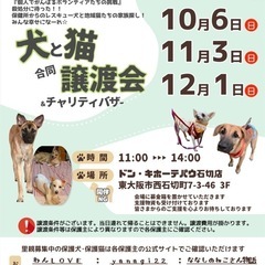 12月1日　犬と猫の合同譲渡会
