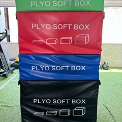 【本日限定価格】プライオボックス