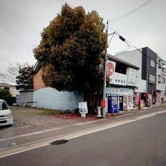 樹木の画像