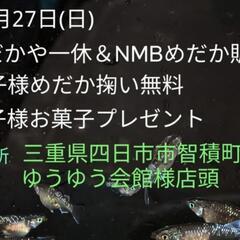 10/27(日)大人気「メダカ合同販売会」‼️めだかや一休…