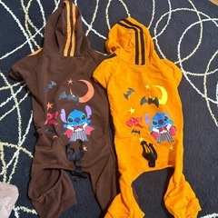 ワンコのハロウィンの洋服の画像