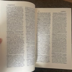 英語語源辞典　辞典　英語　english dictionaryの画像