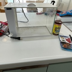 水槽　ラクテリア　※一部欠けあり