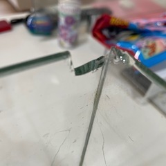 水槽　ラクテリア　※一部欠けありの画像