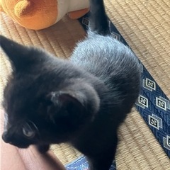 産まれ2ヶ月