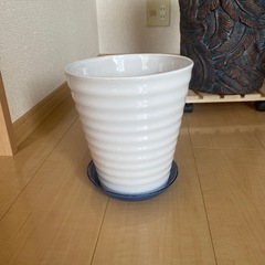 陶器鉢 ホワイト 約7号