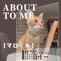 【マロ】甘ったれのスリゴロボーイ