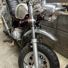中華モンキー