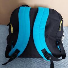 【お値下げ】スキー靴用鞄の画像