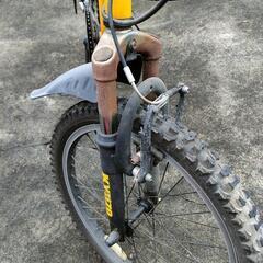 20インチ自転車の画像
