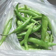 甘長とうがらし(200g)