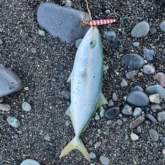 一緒に釣りに行きませんか？ − 愛知県