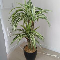 ドラセナ　フェイクグリーン　観葉植物