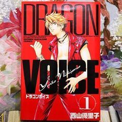 【交渉中】漫画 DRAGON VOICE(ドラゴンボイス) 西山優里子 全11巻の画像