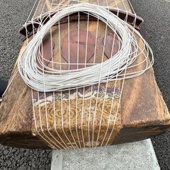 お琴の画像