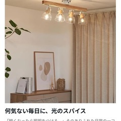 LOWYAシーリングライト スポットライト