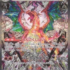 ポケモンカード リザードンex sar 黒炎の支配者 低 価格 通販