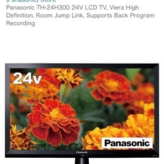 Panasonic TH-24H300 24V LCD TVの画像