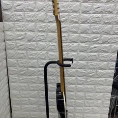 ストラトギター CFS coolz ZTL-2R/3TSの画像