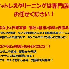 マットレスクリーニング専門店（訪問型）　アレルギー対策クリーニング　ダニアレルギー、ハウスダストアレルギー、カビアレルギー - 横浜市