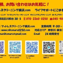 マットレスクリーニング専門店（訪問型）　アレルギー対策クリーニング　ダニアレルギー、ハウスダストアレルギー、カビアレルギー - 地元のお店