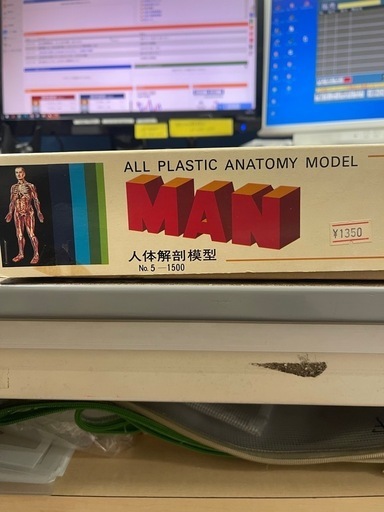 ツクバ　人体解剖模型　MAN