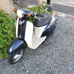 早めに取りに来られる方限定でお願いします。