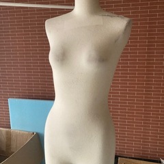 トルソー マネキン　Mサイズ レディース 女性 
