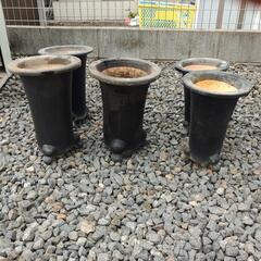 植木鉢(大きさで値段違います。)の画像