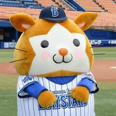 【急募】10/26(土)新宿のHUBで一緒に横浜DeNAベイスターズを応援しましょう！！ - 新宿区