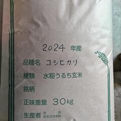 新米コシヒカリ玄米30キロ