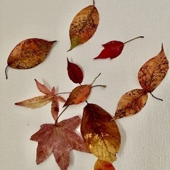 11月のリトミックの画像