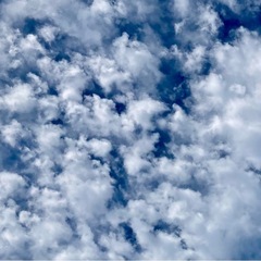 11月のリトミックの画像