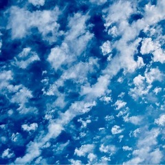 11月のリトミックの画像