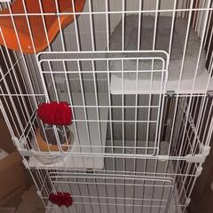 猫トイレ、ゲージ一式の画像