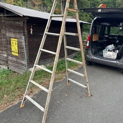 脚立　ハシゴ　キャタツ